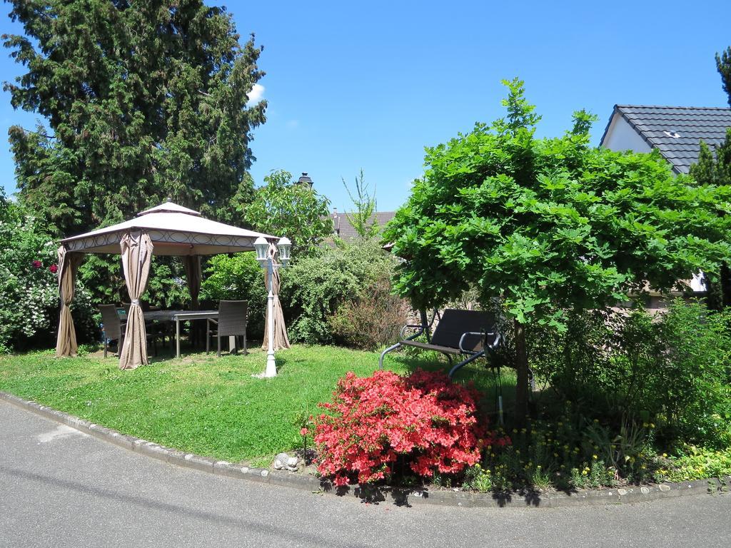 Appartement T3 Aux Deux Cigognes Gries Rom bilde